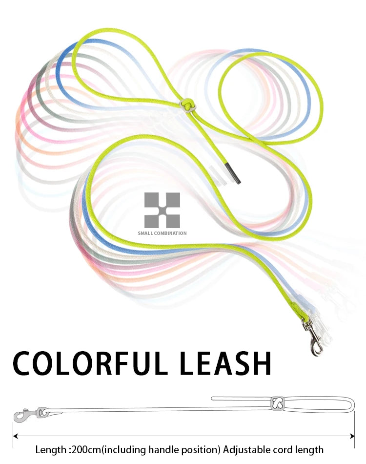 SafePaw™ – Reflective Harness & Leash Set