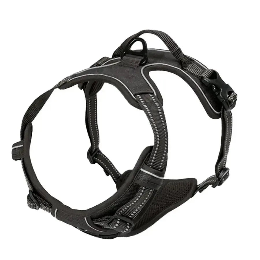 PawSet™ – Leather Dog Collar & Harness with Leash