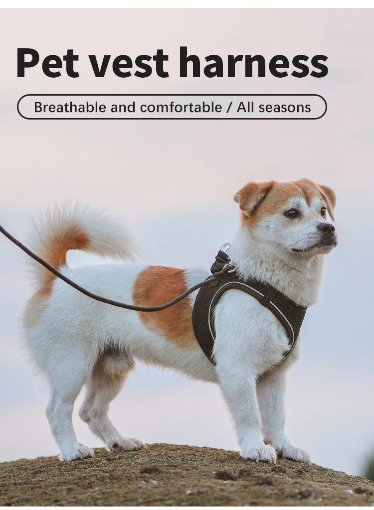 SafePaw™ – Reflective Harness & Leash Set
