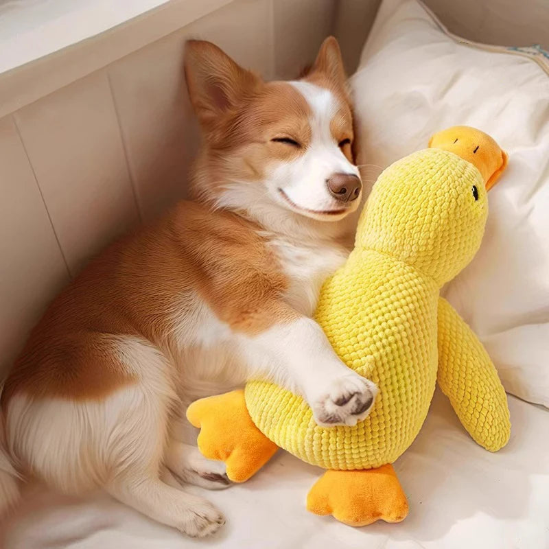 Dog Calming Duck Plush Toy โ Bite-Resistant Squeaky Yellow Duck for Small Dogs & Puppies