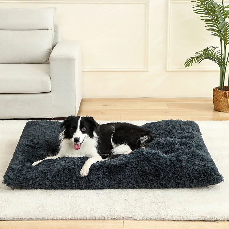 CloudNest™ – Ultra-Soft Plush Pet Bed