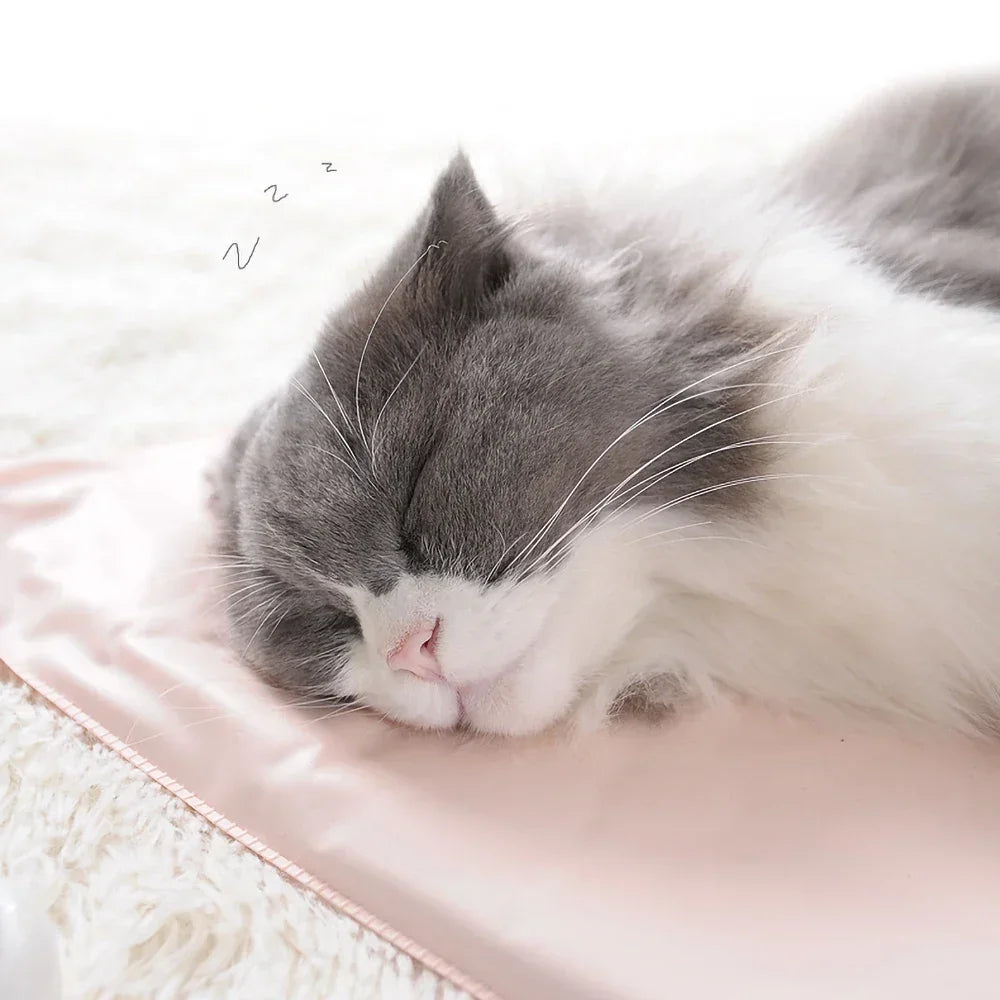 WarmPaw™ – Waterproof Electric Pet Heating Blanket