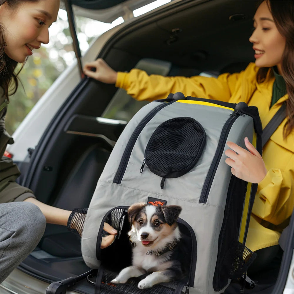 2-in-1 Folding Portable Pet Stroller & Travel Crate