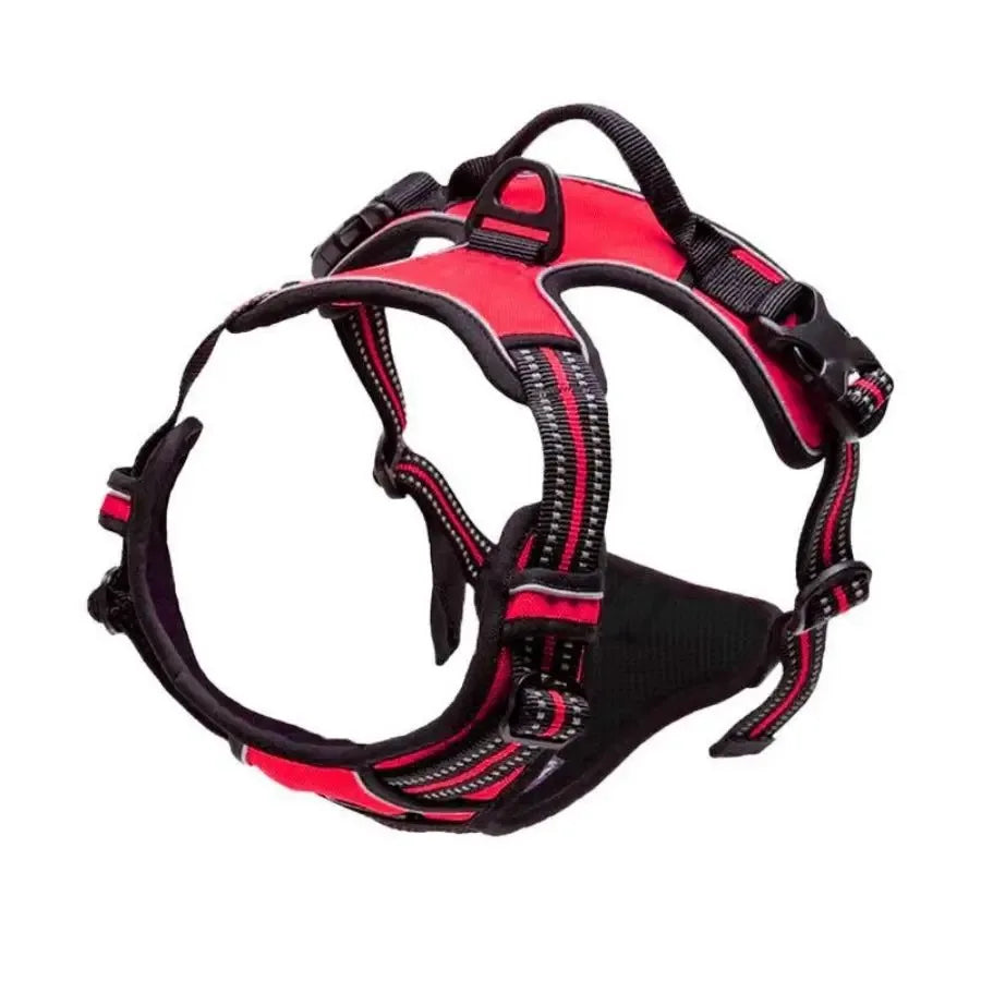 Dog Harness & Leash Set