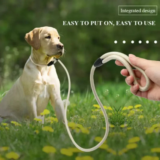 PawLead™ – Adjustable Nylon Dog Leash