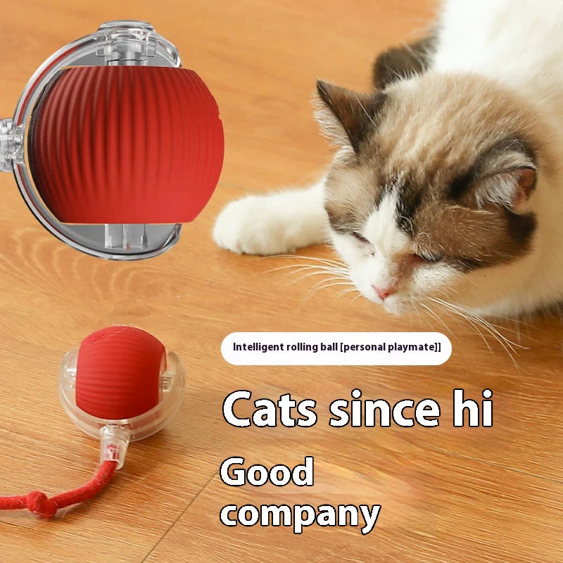 PlaySphere™ – Smart Interactive Cat Ball Toy