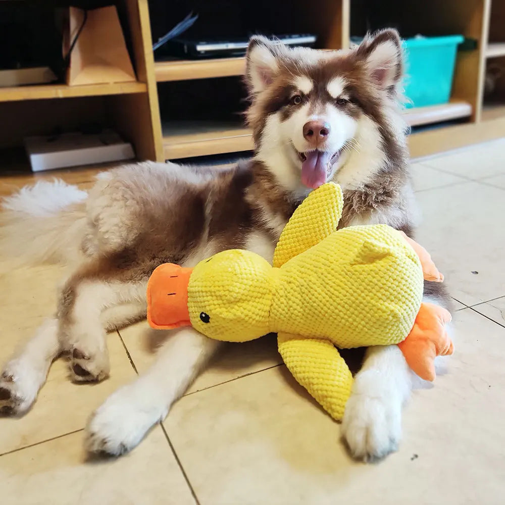 Dog Calming Duck Plush Toy โ Bite-Resistant Squeaky Yellow Duck for Small Dogs & Puppies