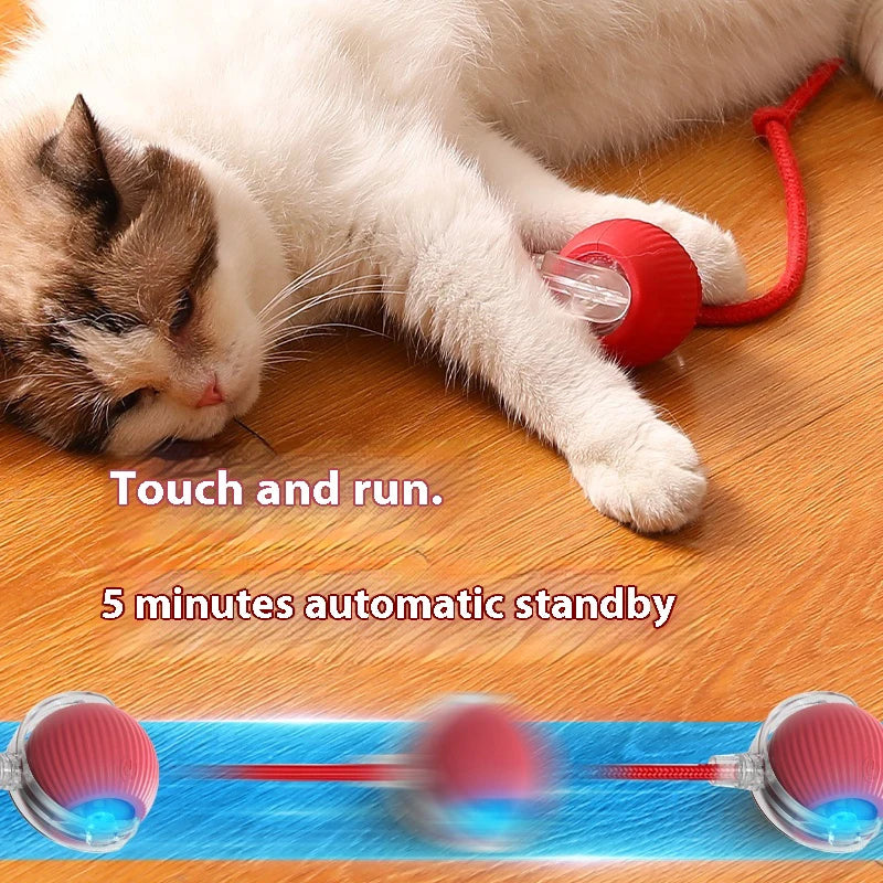 PlaySphere™ – Smart Interactive Cat Ball Toy