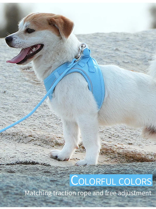 SafePaw™ – Reflective Harness & Leash Set