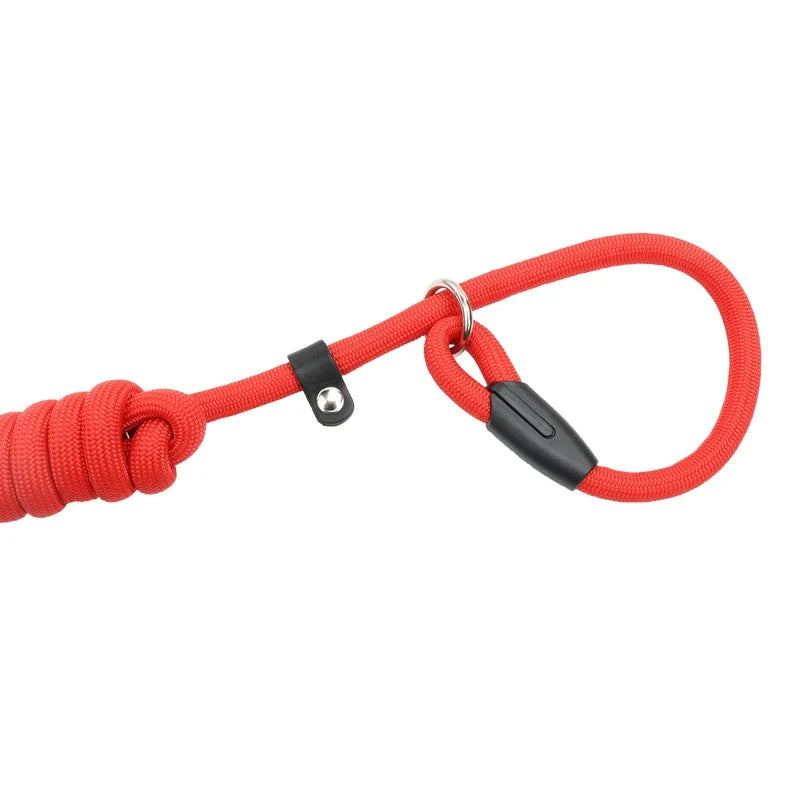 PawLead™ – Adjustable Nylon Dog Leash