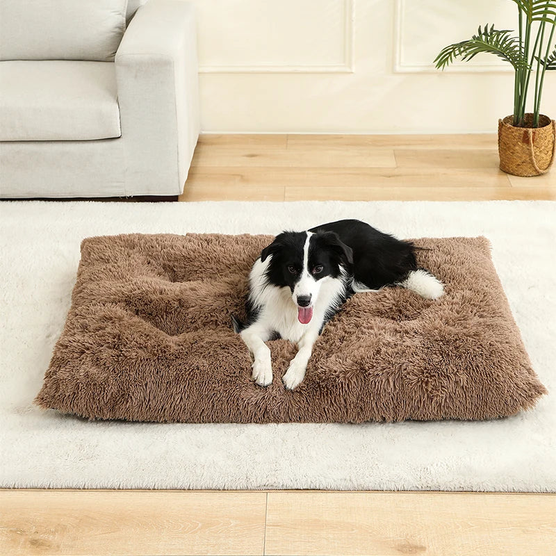 CloudNest™ – Ultra-Soft Plush Pet Bed