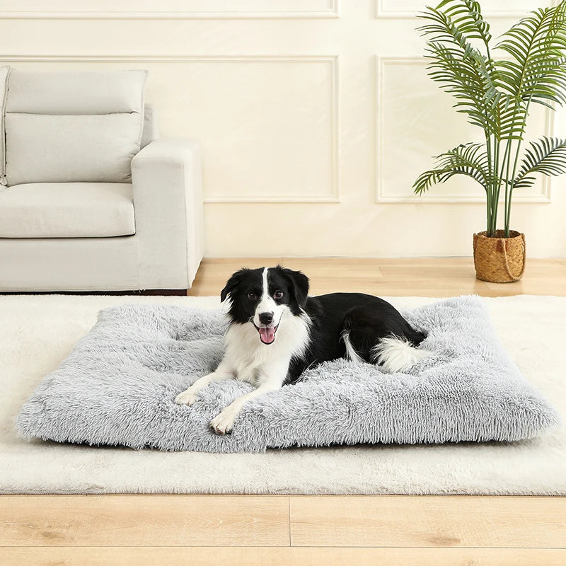 CloudNest™ – Ultra-Soft Plush Pet Bed