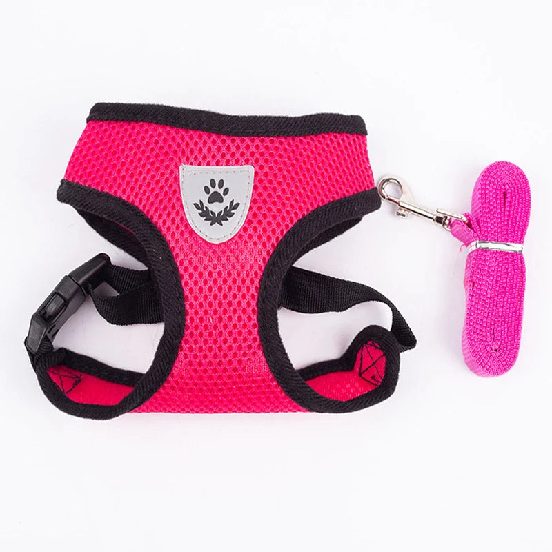 AirPaw™ – Breathable Mesh Harness & Leash Set