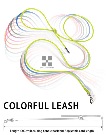 SafePaw™ – Reflective Harness & Leash Set