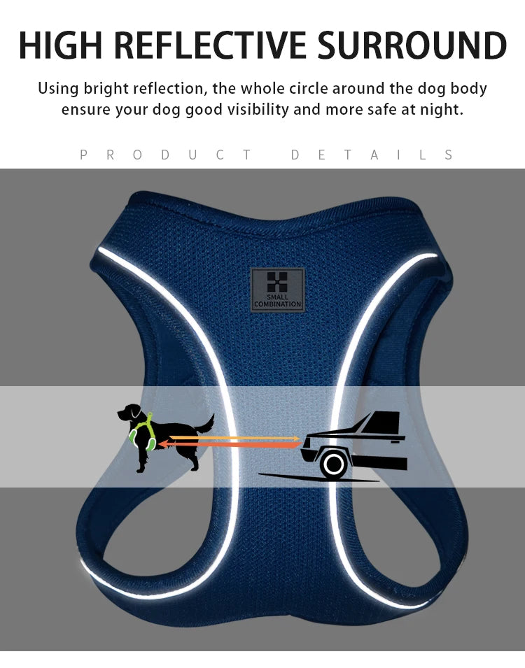 SafePaw™ – Reflective Harness & Leash Set
