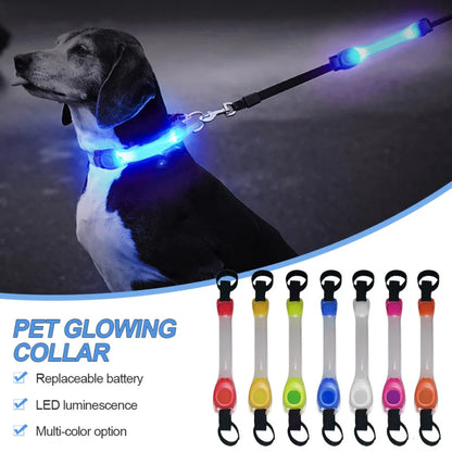 LED Glowing Dog Collar – Waterproof Safety Light for Pets
