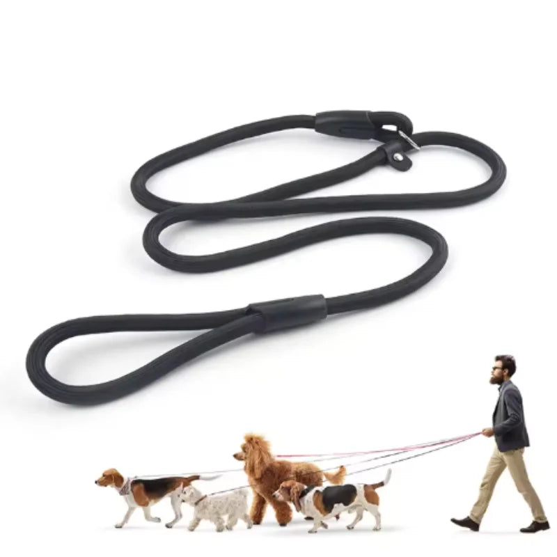 PawLead™ – Adjustable Nylon Dog Leash