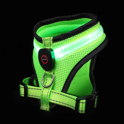 LED Luminous Dog Harness – Rechargeable Night Safety Vest