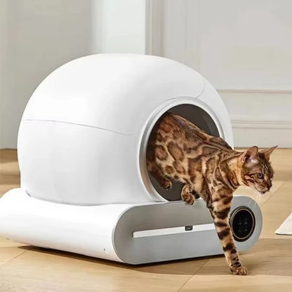 Smart Automatic Cat Litter Box with APP Control