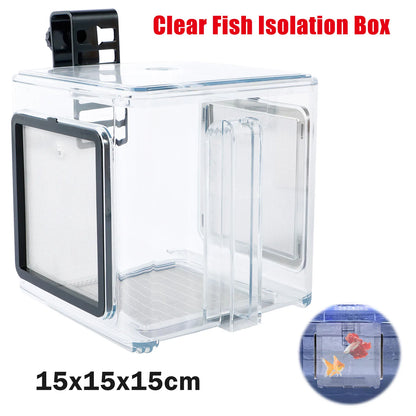 Aquarium Breeder Box – Clear Fish Breeding & Isolation Tank with Removable Mesh Lid
