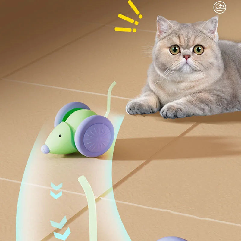 Rechargeable Electric Mouse Car Toy – Interactive Smart Cat Toy