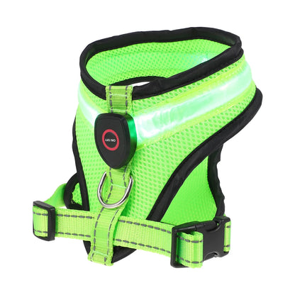 LED Luminous Dog Harness – Rechargeable Night Safety Vest