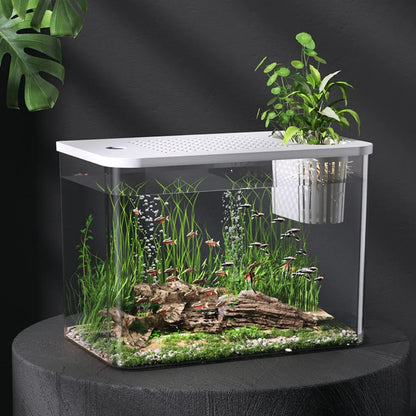 Transparent PET+ABS Fish Tank with Lid – Drop-Resistant Hydroponic Aquarium & Turtle Tank for Home