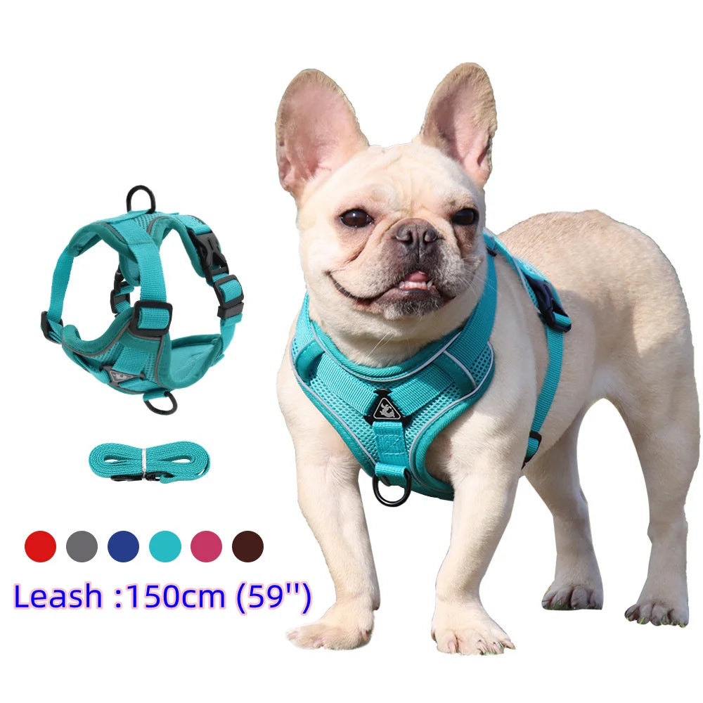 Dog Harness & Leash Set