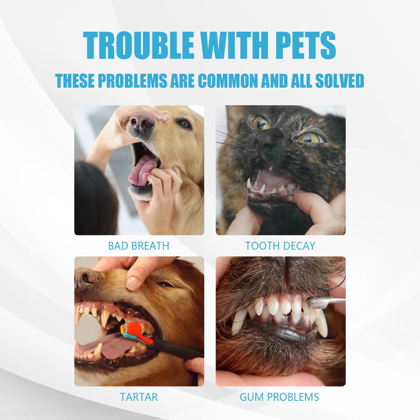 YEGBONG Pet Toothpaste – Gentle Daily Oral Care for Dogs and Cats