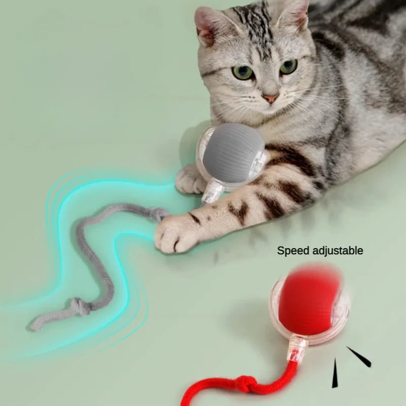 PlaySphere™ – Smart Interactive Cat Ball Toy
