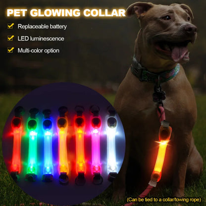 LED Glowing Dog Collar – Waterproof Safety Light for Pets