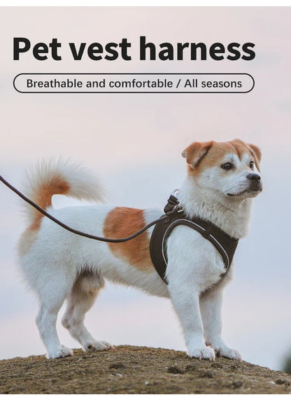 SafePaw™ – Reflective Harness & Leash Set