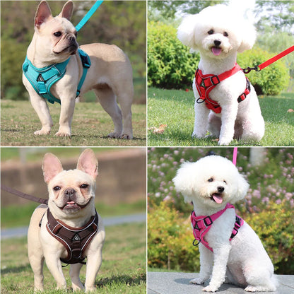 Dog Harness & Leash Set