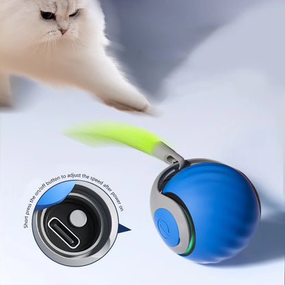 TailSpin™ – Interactive Rolling Ball Toy for Cats & Dogs