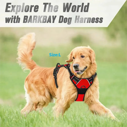 PawSet™ – Leather Dog Collar & Harness with Leash
