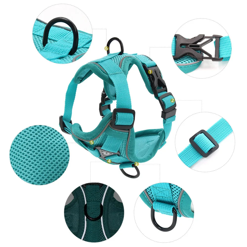 Dog Harness & Leash Set