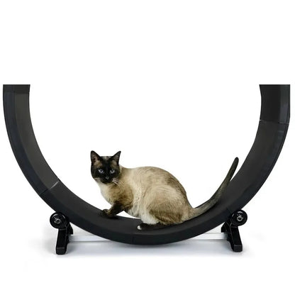 Silent Cat Fitness Wheel – Stable Indoor Exercise Toy