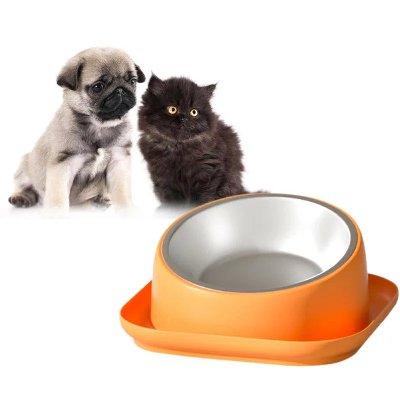 NeckGuard™ – 15° Tilt Anti-Slip Pet Feeding Bowl