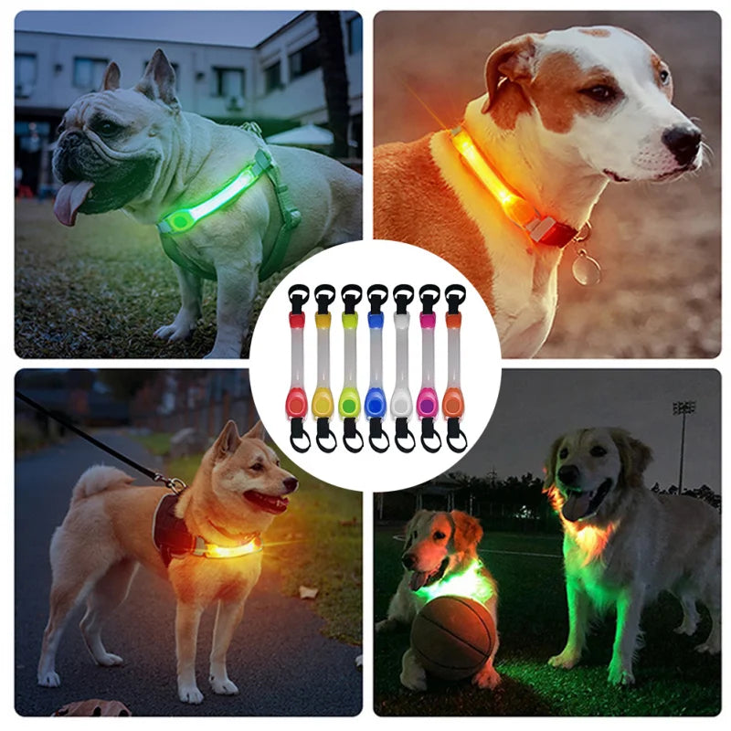 LED Glowing Dog Collar – Waterproof Safety Light for Pets