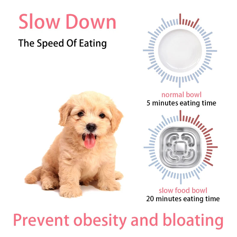 SteelPaw™ – Dual-Sided Stainless Steel Slow Feeder Bowl