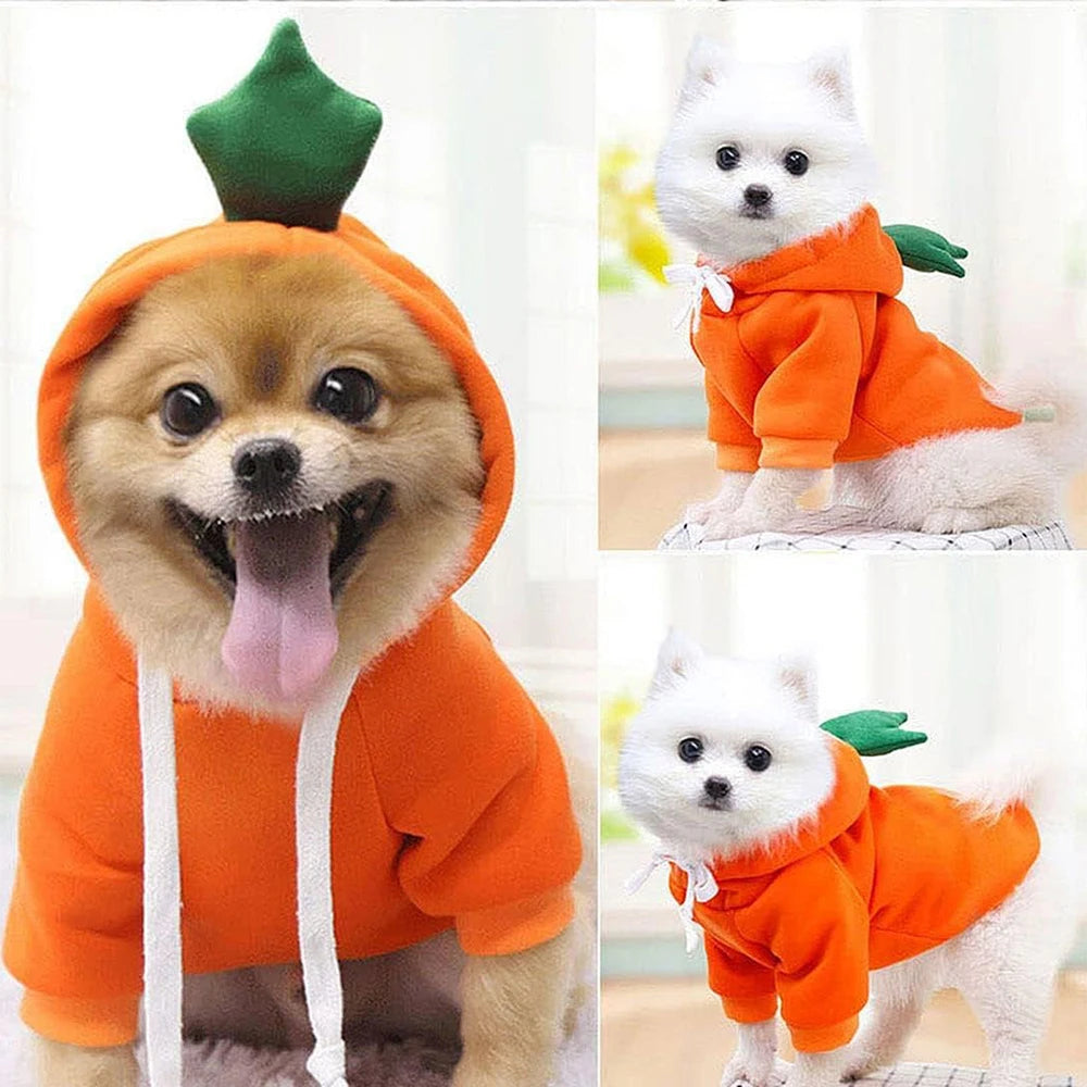 Cute Dog & Cat Hoodie – Fruit-Themed Funny Pet Coat with Hat, Halloween Cosplay Costume
