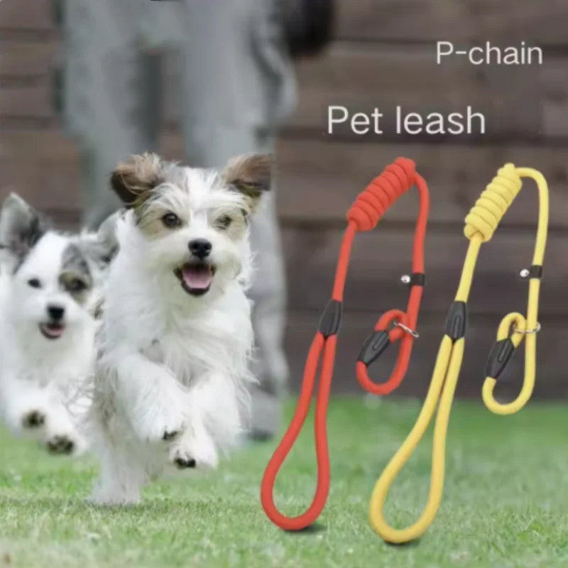 PawLead™ – Adjustable Nylon Dog Leash
