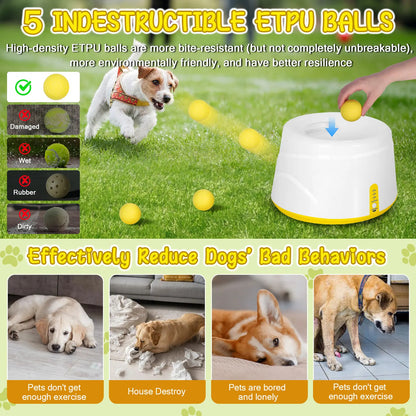 Automatic Dog Ball Launcher – 3 Distance Settings with 5 Balls, Indoor & Outdoor Toy