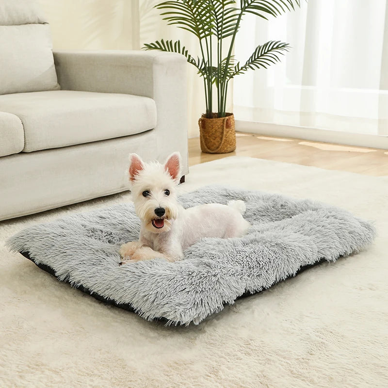 CloudNest™ – Ultra-Soft Plush Pet Bed