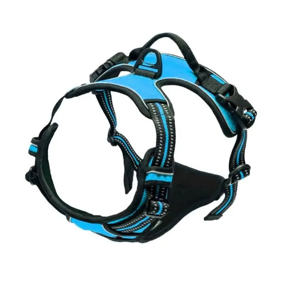 Dog Harness & Leash Set