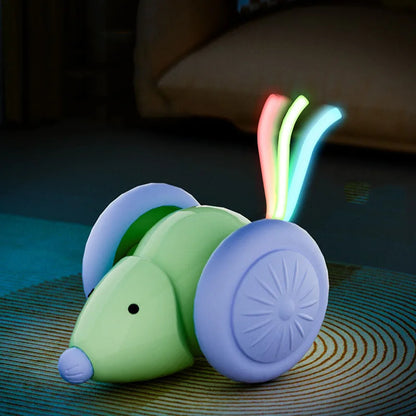 Rechargeable Electric Mouse Car Toy – Interactive Smart Cat Toy