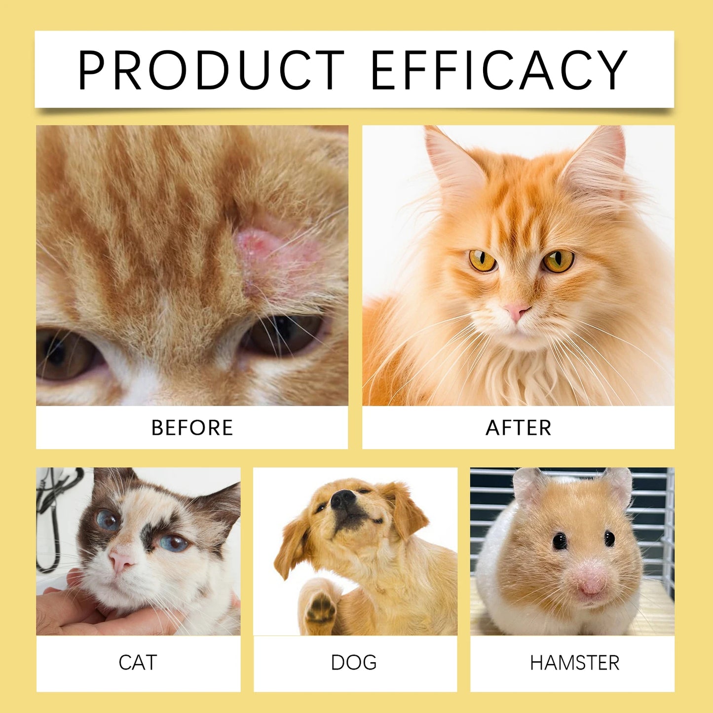 YEGBONG™ Pet Skin Care Spray – Soothing Relief for Dogs & Cats