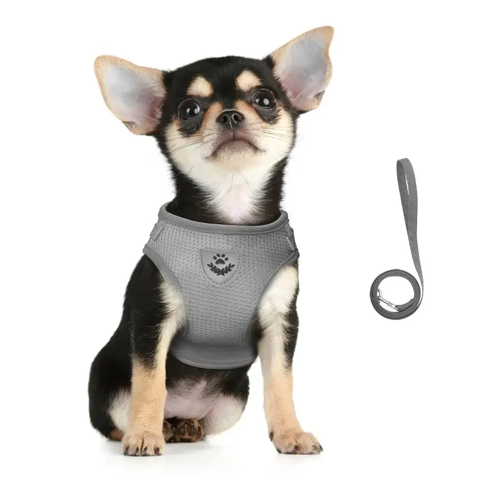 Adjustable Reflective Cat & Small Dog Harness Leash Set – Escape-Proof Mesh Vest