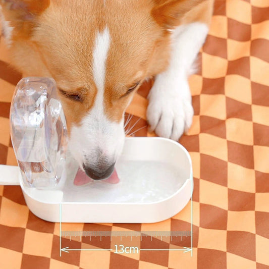 2 in 1 Portable Pet Water Bottle with Food Storage for Dogs & Cats