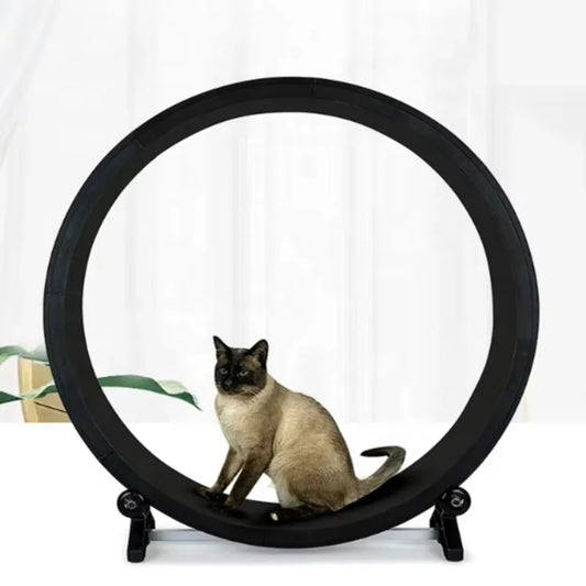 Silent Cat Fitness Wheel – Stable Indoor Exercise Toy